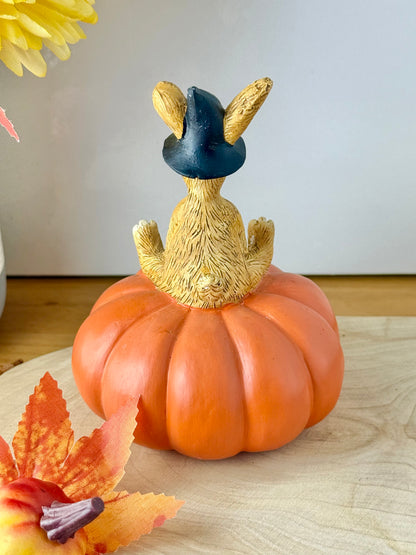 Jasper witch sat on a pumpkin