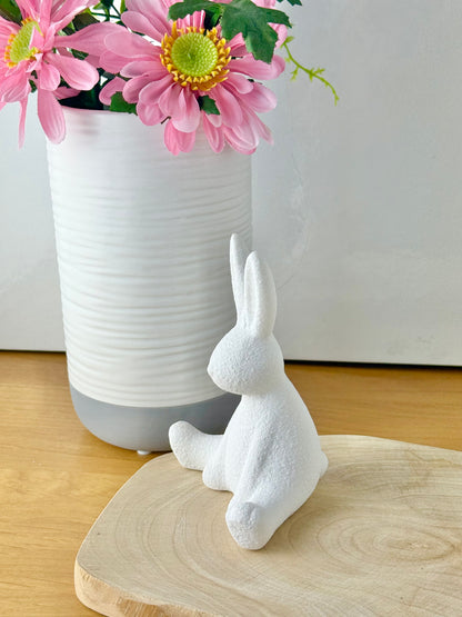 White Sitting Bunny