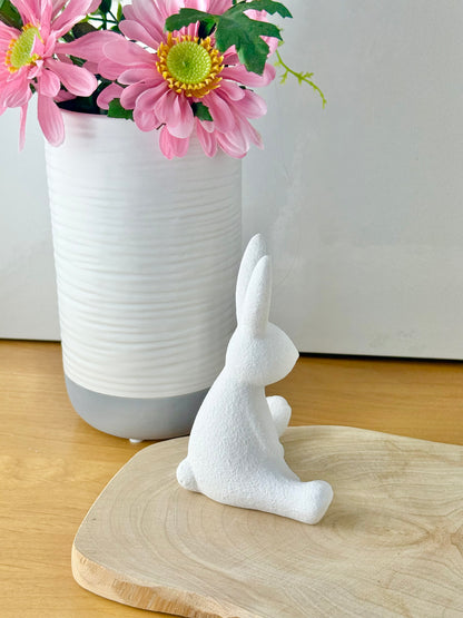 White Sitting Bunny