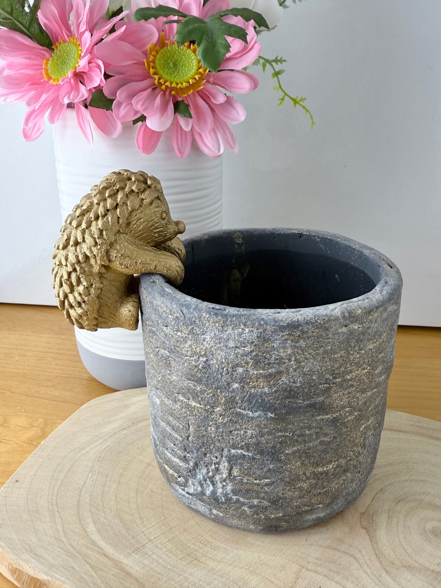 Plant Pot with Hedgehog pot hanger