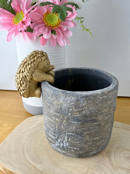Plant Pot with Hedgehog pot hanger