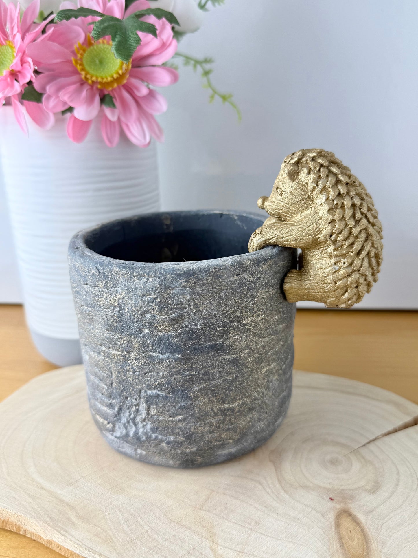 Plant Pot with Hedgehog pot hanger