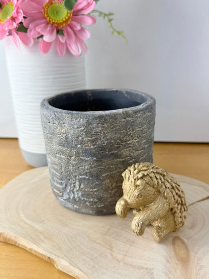 Plant Pot with Hedgehog pot hanger