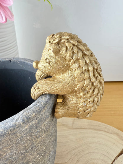 Plant Pot with Hedgehog pot hanger