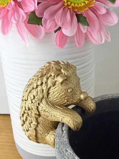Plant Pot with Hedgehog pot hanger