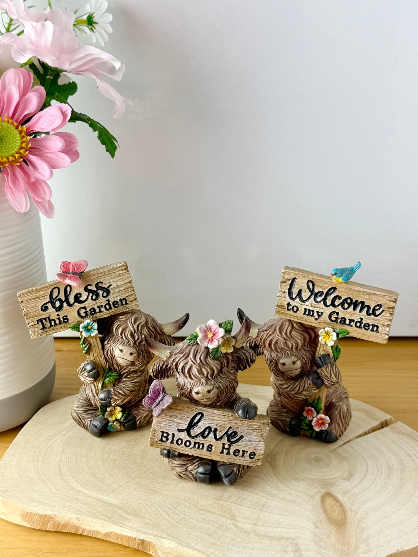 Highland Cows with Signs