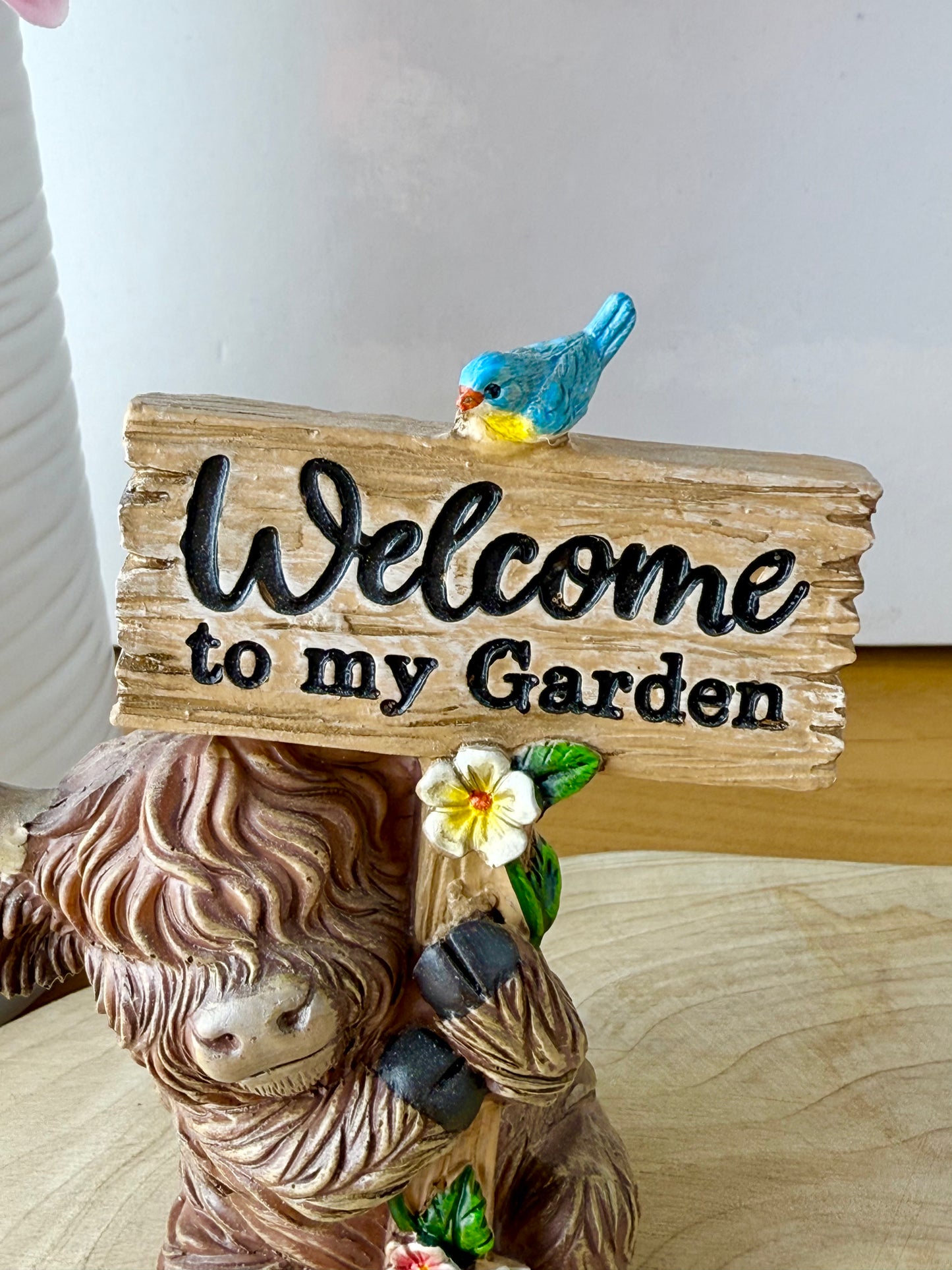 Highland Cows with Signs