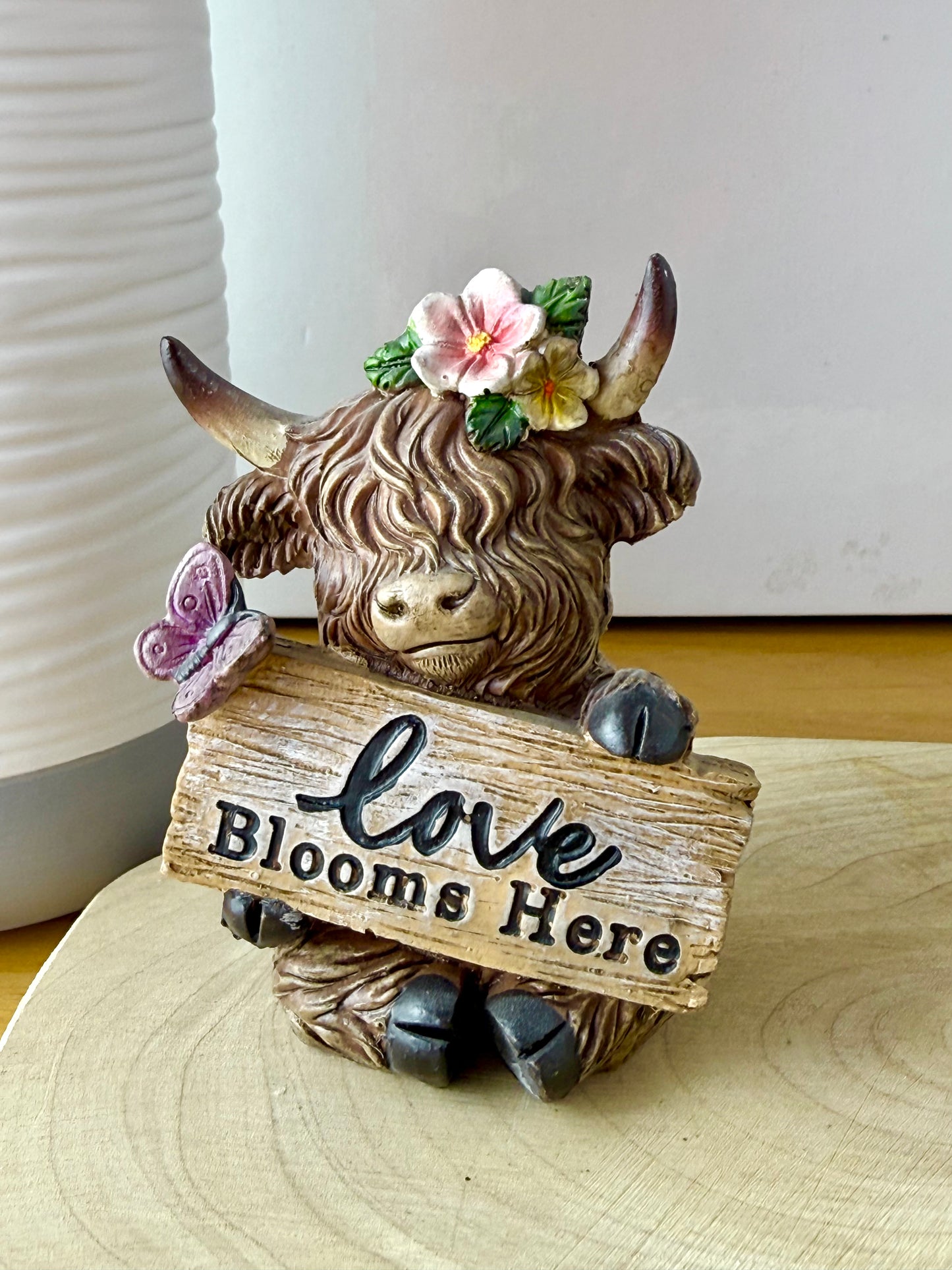 Highland Cows with Signs