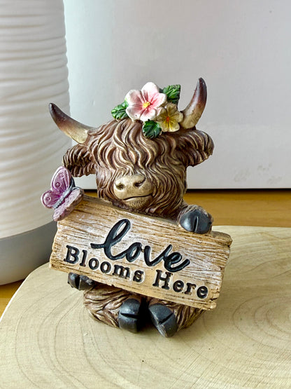 Highland Cows with Signs