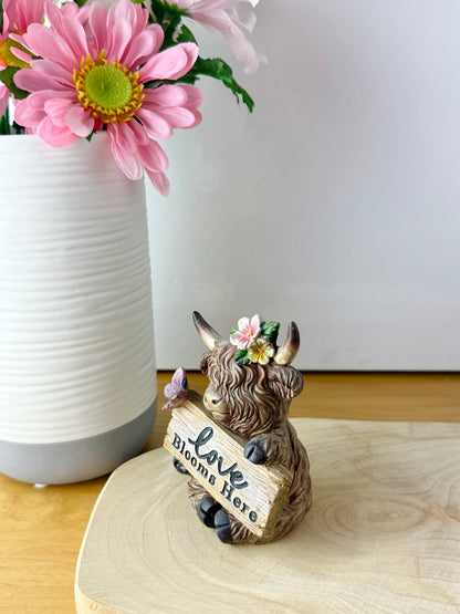 Highland Cows with Signs