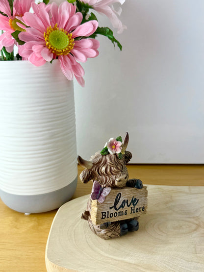 Highland Cows with Signs