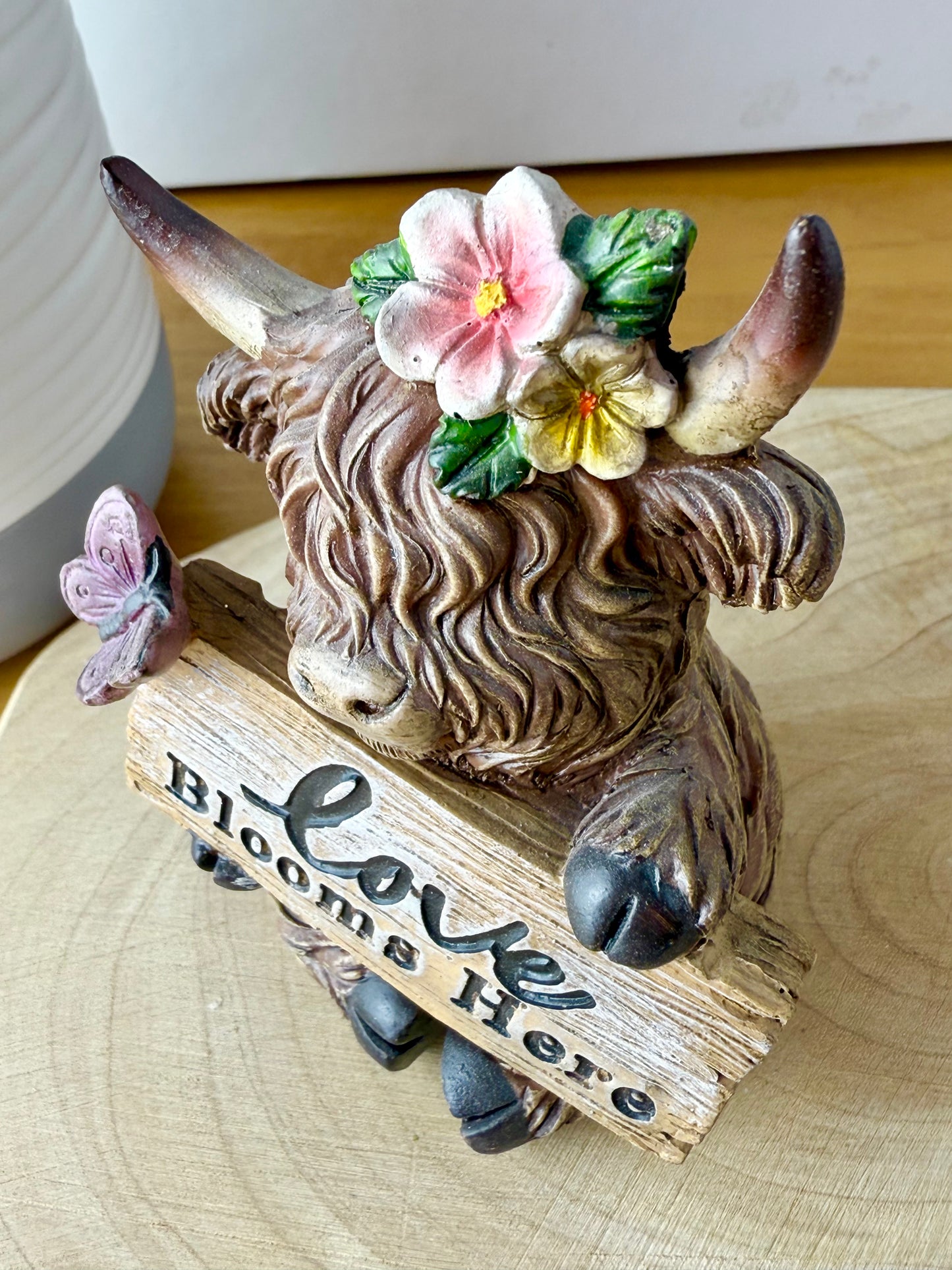 Highland Cows with Signs