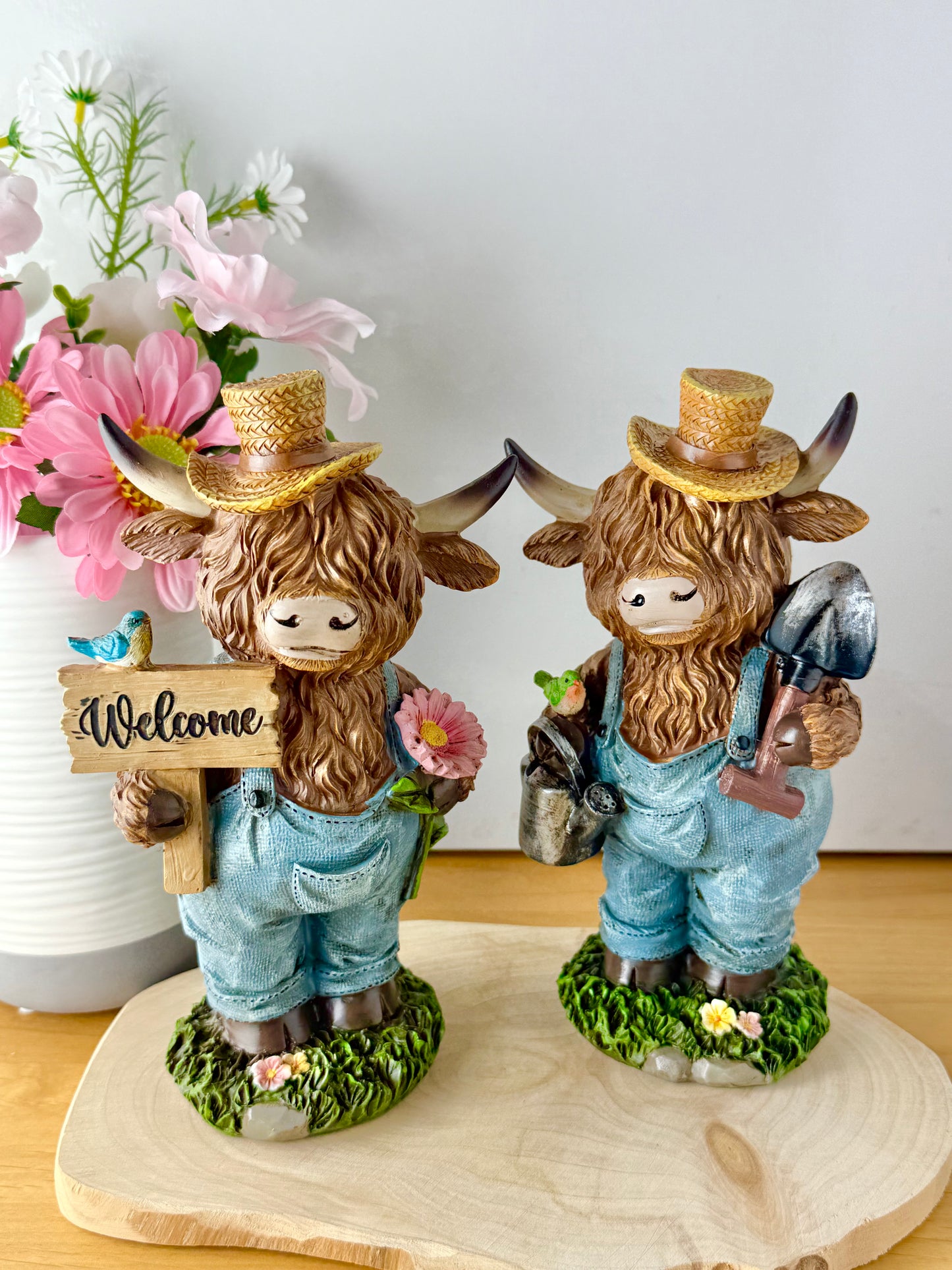 Highland Cows wearing dungarees - Large