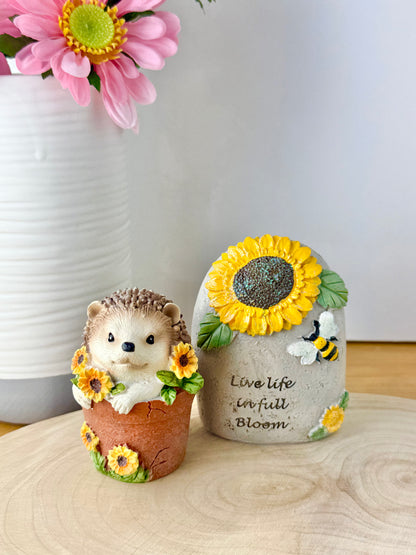 Hedgehog sat in a Plant Pot