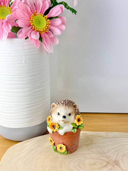 Hedgehog sat in a Plant Pot