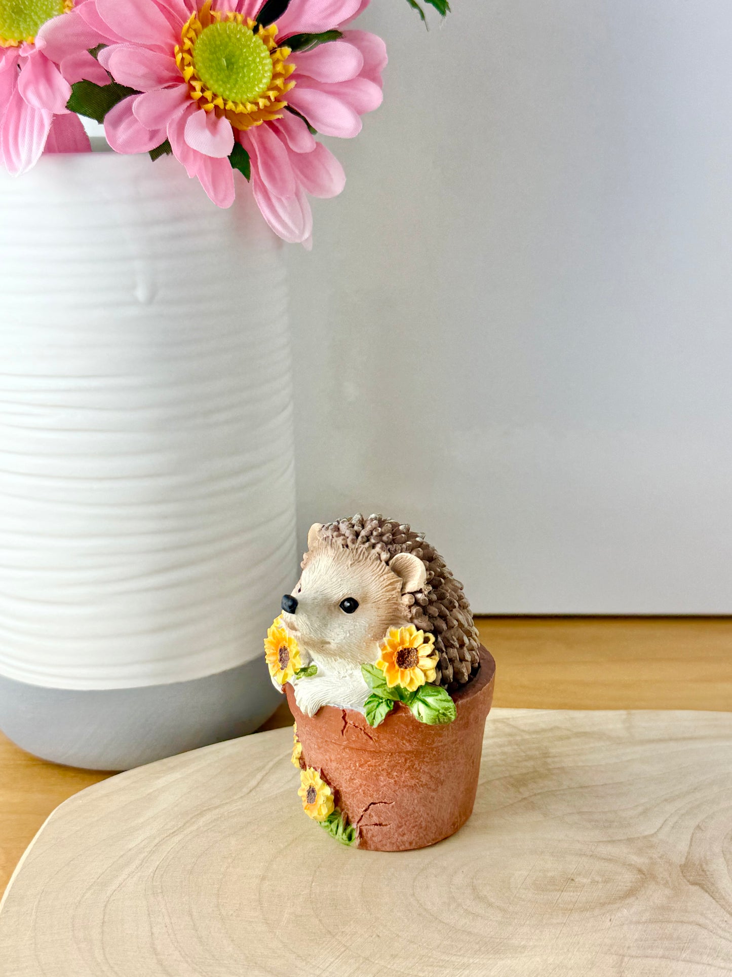 Hedgehog sat in a Plant Pot
