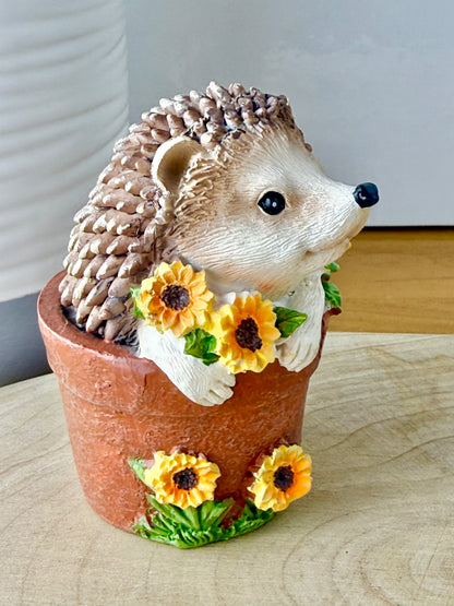 Hedgehog sat in a Plant Pot
