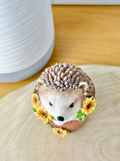 Hedgehog sat in a Plant Pot