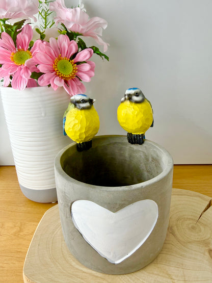 Carved Blue Tit Plant Pot Hanger - 2 designs