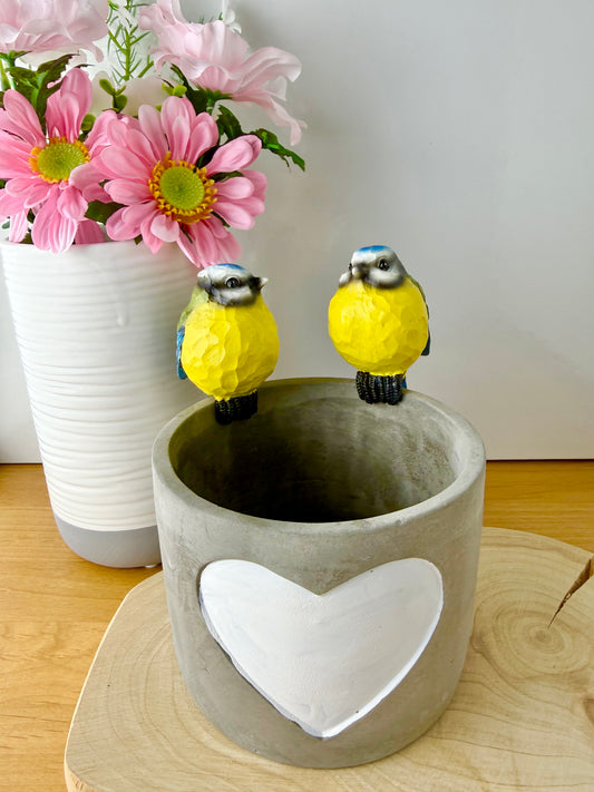 Carved Blue Tit Plant Pot Hanger - 2 designs