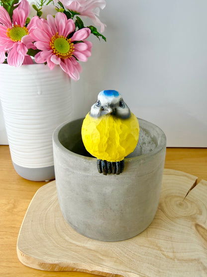 Carved Blue Tit Plant Pot Hanger - 2 designs
