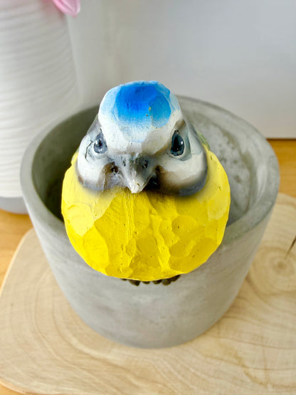 Carved Blue Tit Plant Pot Hanger - 2 designs