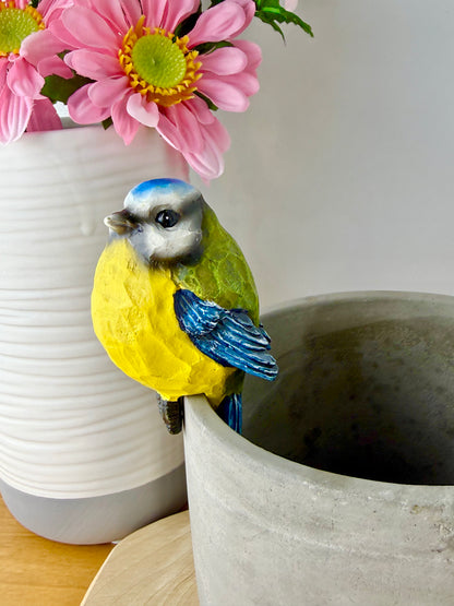 Carved Blue Tit Plant Pot Hanger - 2 designs
