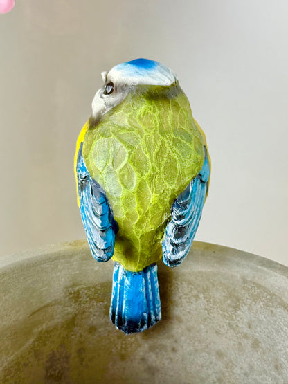 Carved Blue Tit Plant Pot Hanger - 2 designs