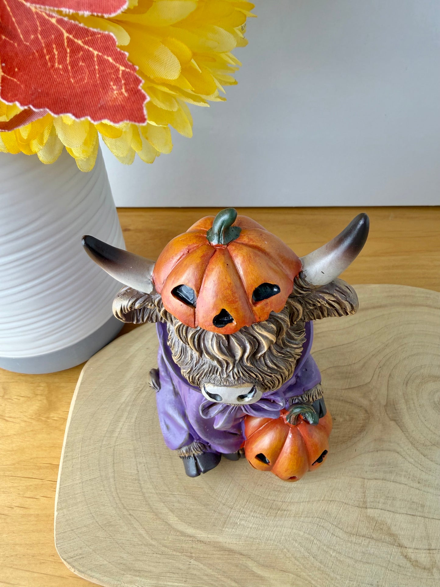 Highland Cows - Halloween Spooky Costumes