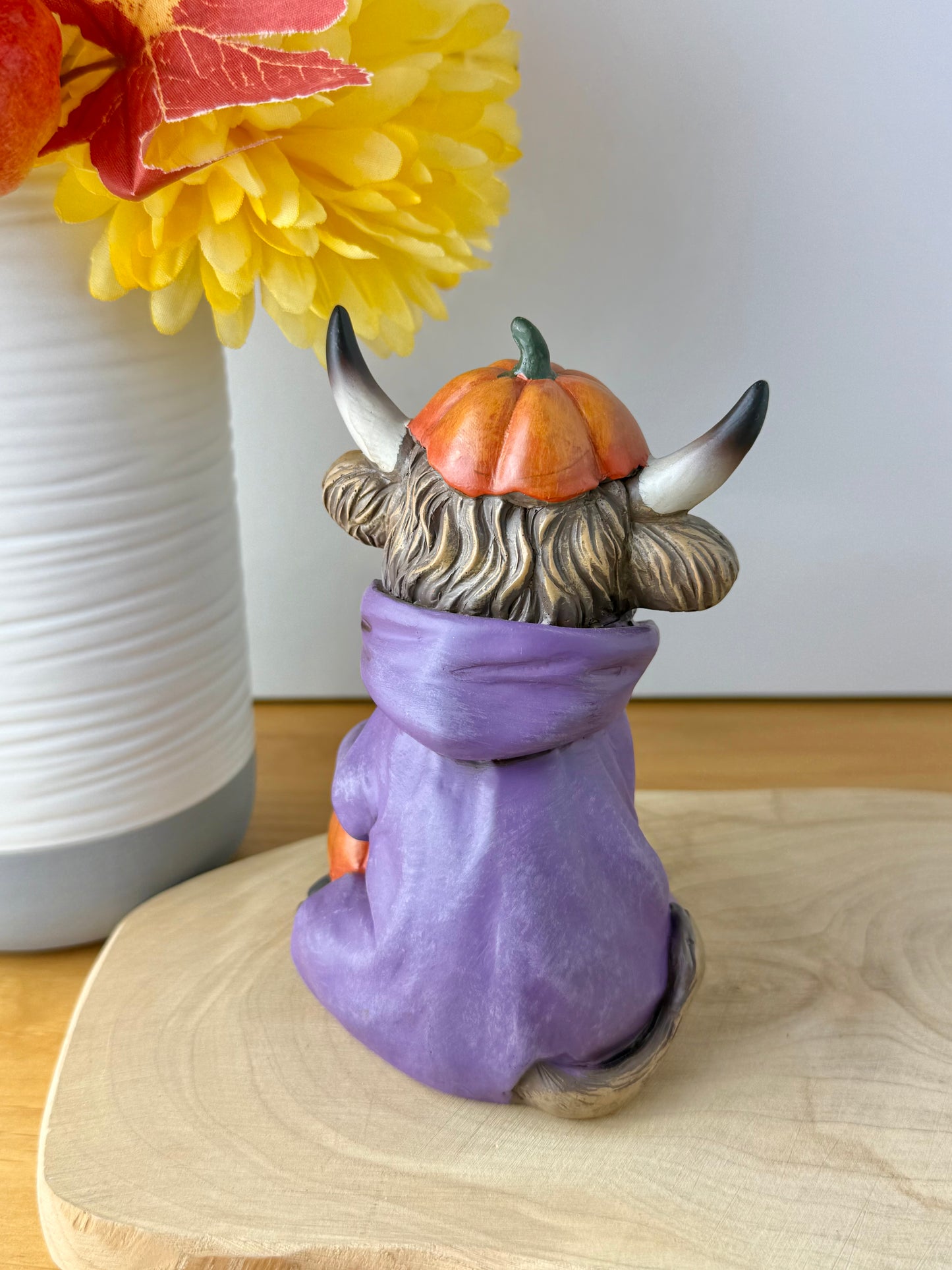 Highland Cows - Halloween Spooky Costumes