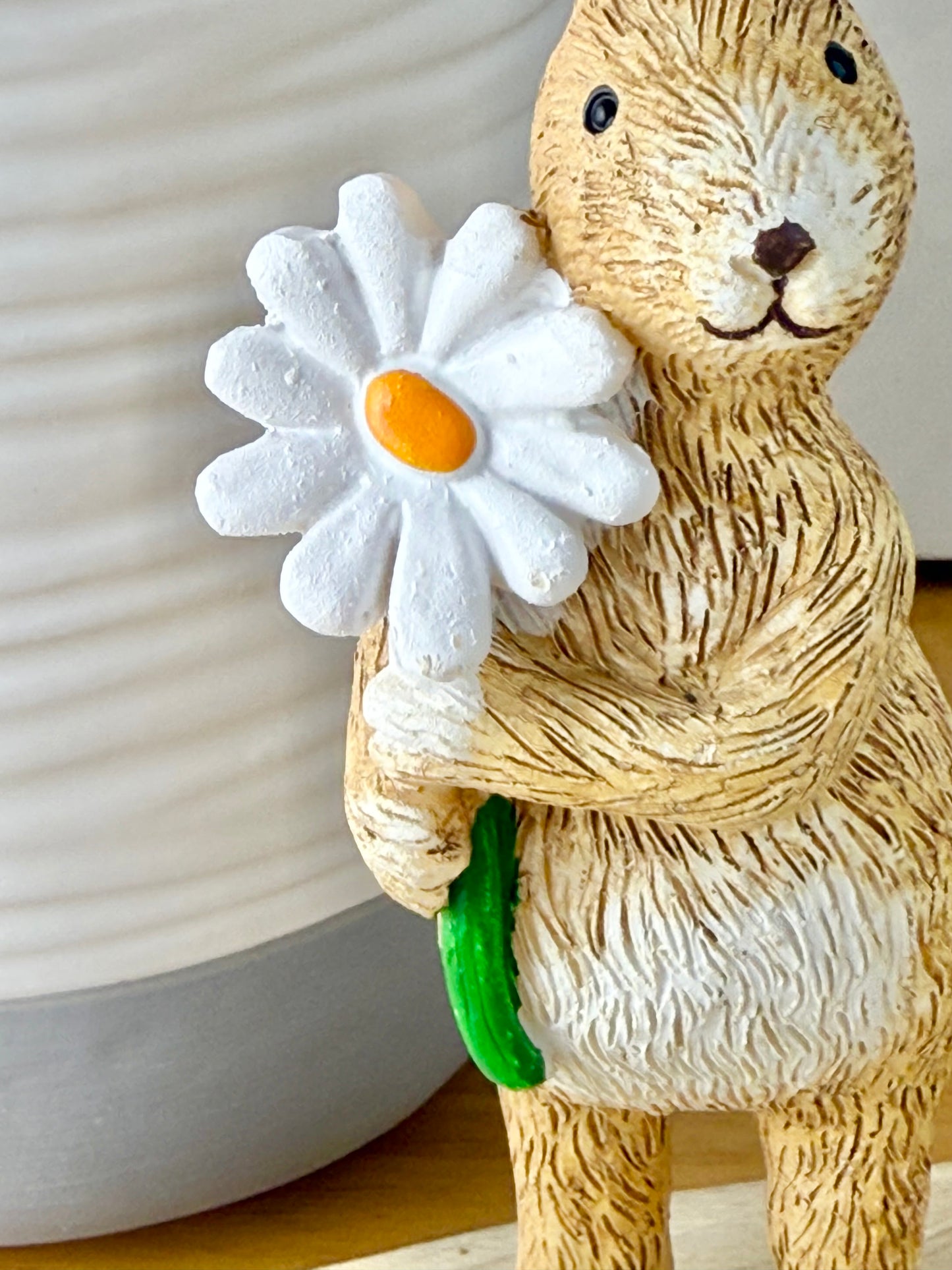 Jasper Rabbit with Daisy flower