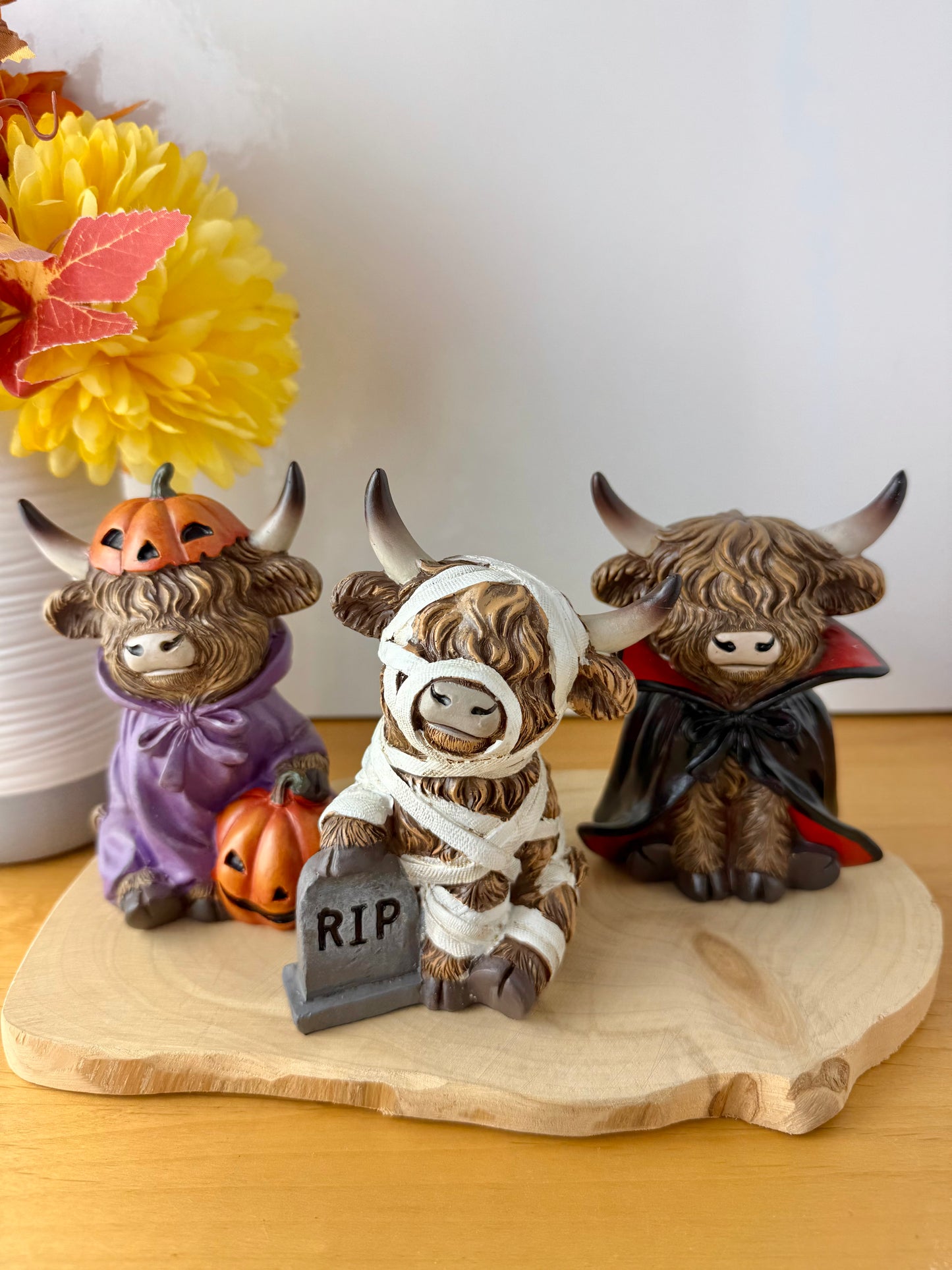 Highland Cows - Halloween Spooky Costumes