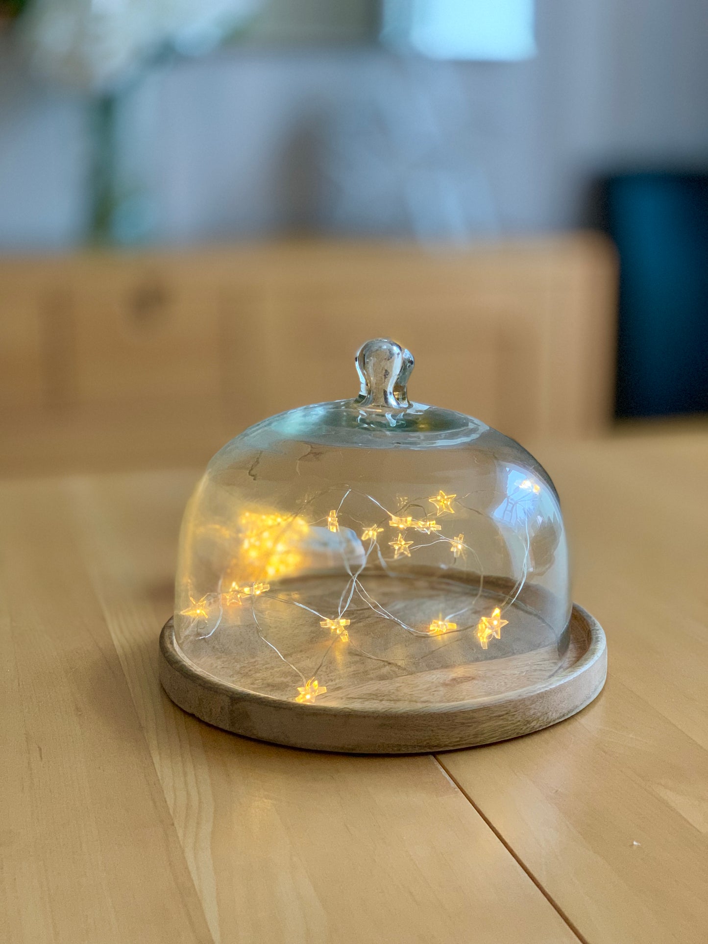 Wooden Tray with Glass Dome