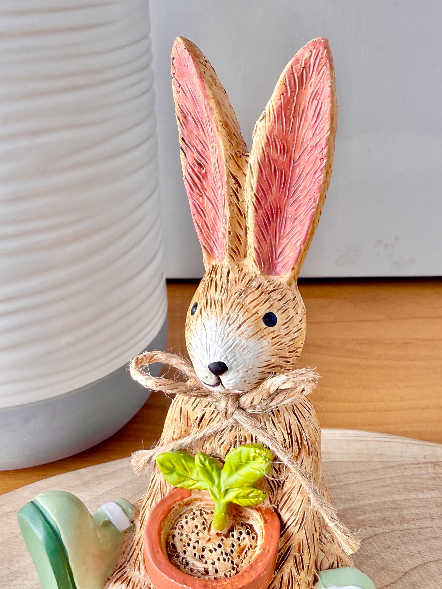 Jasper bunny with House Plant