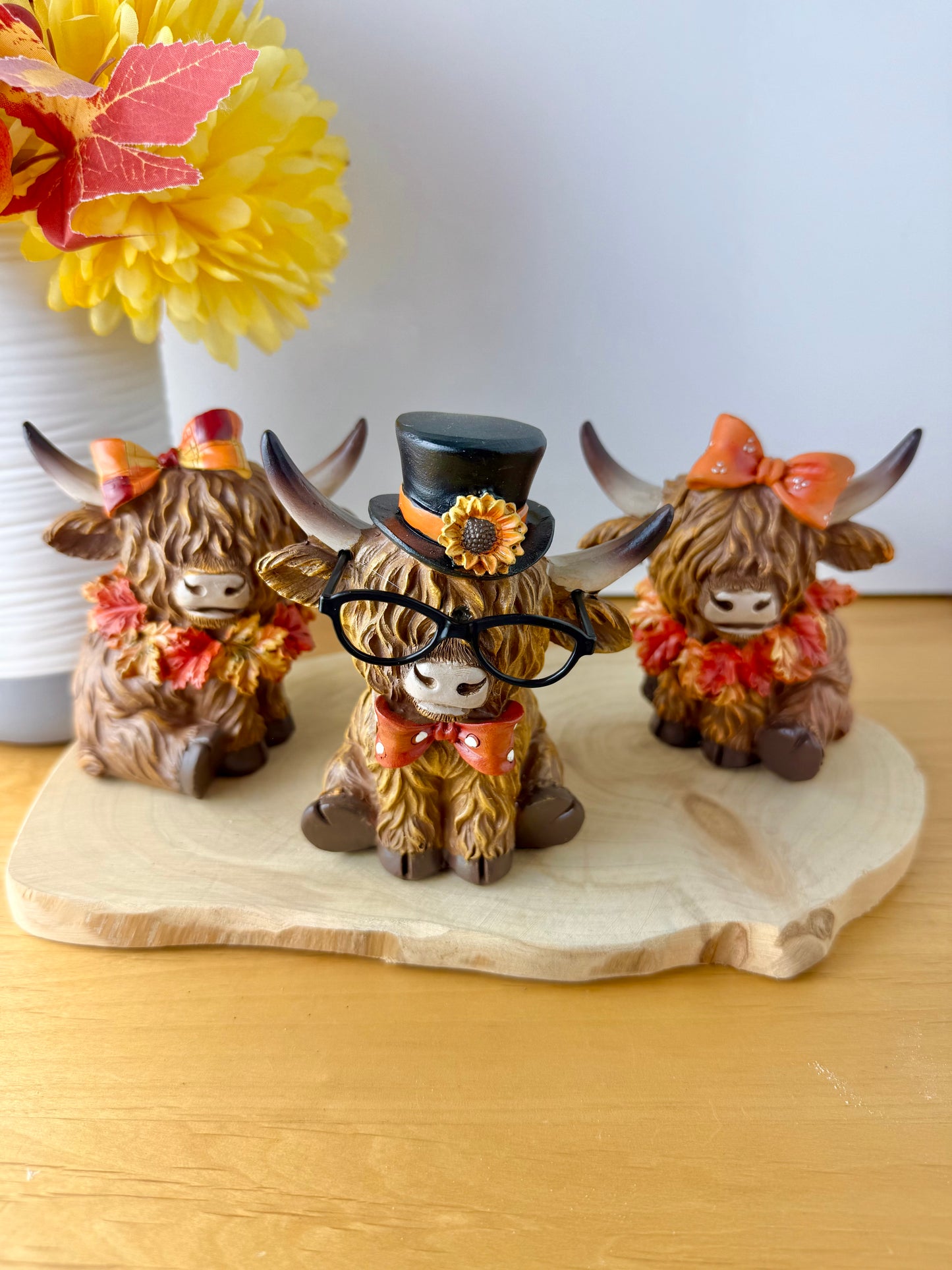 Highland Cows - Autumn Cows