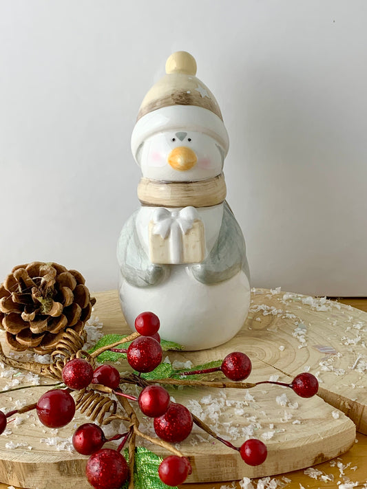 Christmas Grey Penguin with Parcel