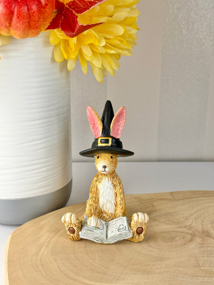 Jasper Rabbit Hocus Pocus