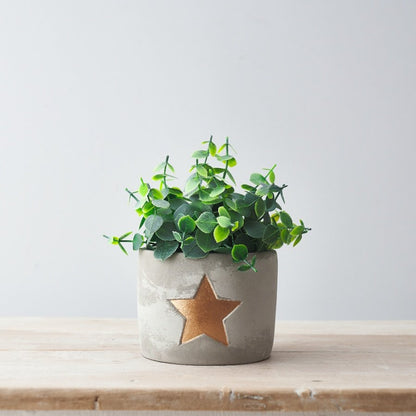 Grey Cement Pot with gold star