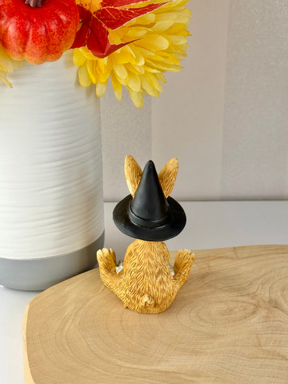 Jasper Rabbit Hocus Pocus
