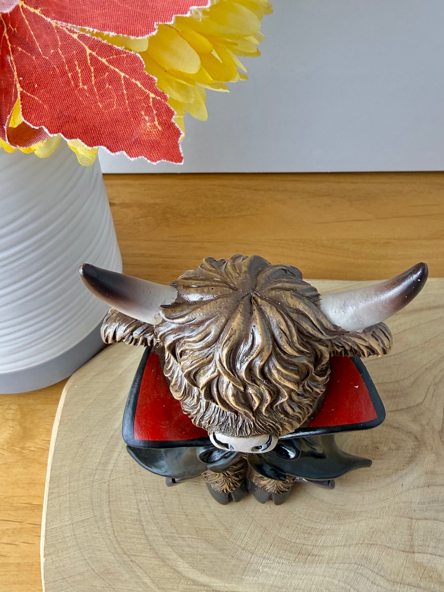 Highland Cows - Halloween Spooky Costumes