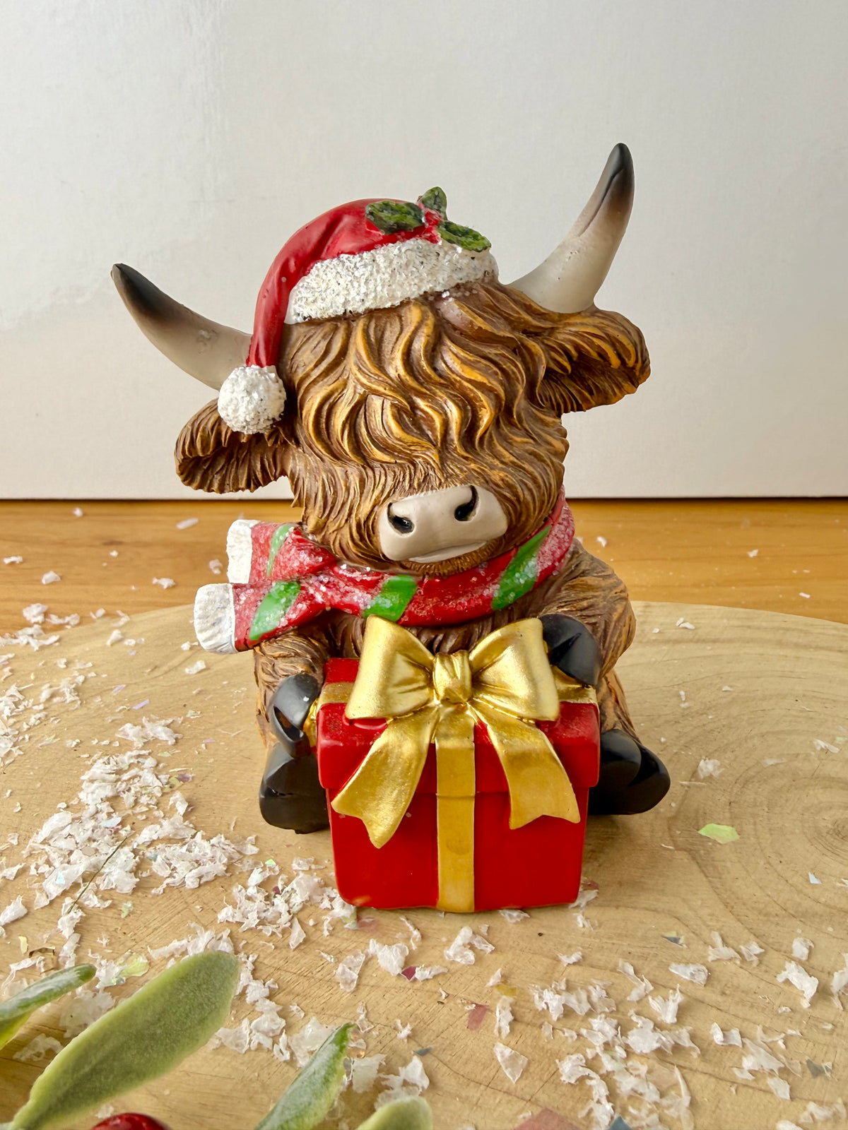 Highland Cows - Holding Christmas Tree or Present