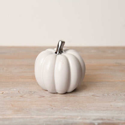 White Pumpkin with Silver stalks