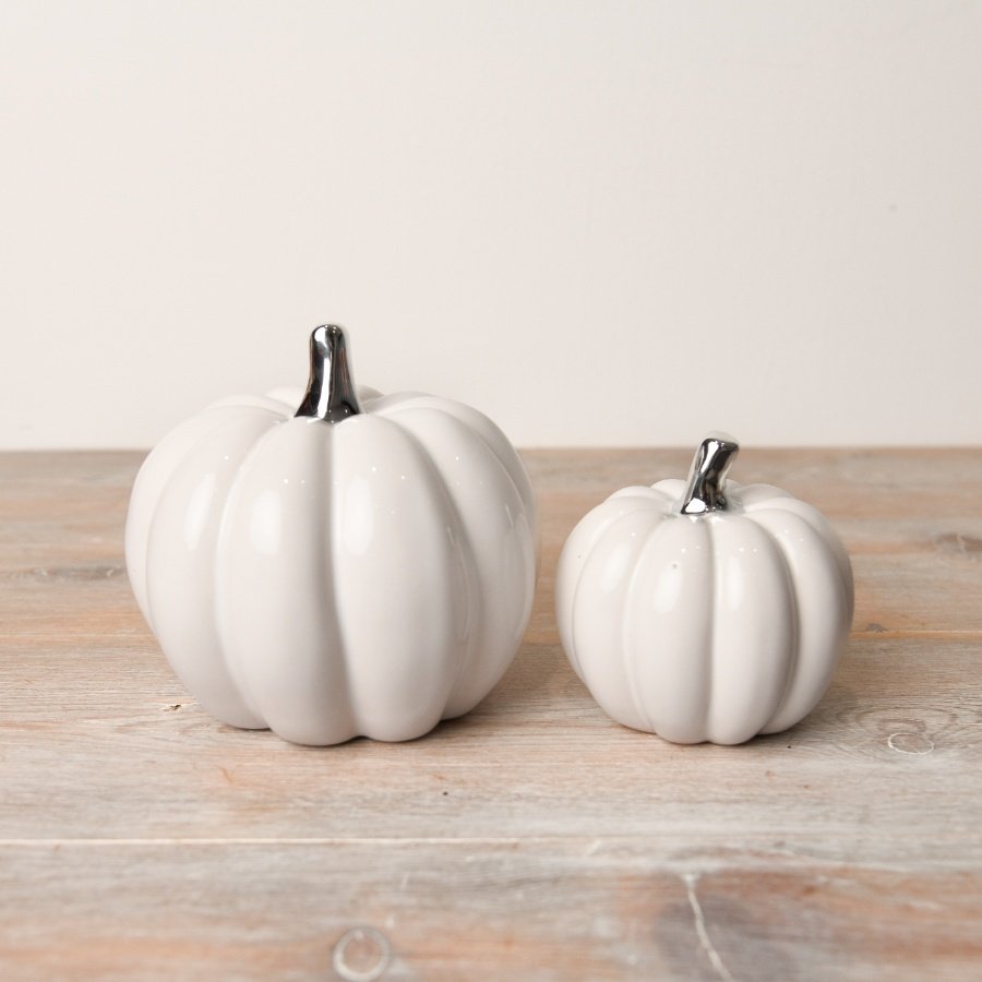 White Pumpkin with Silver stalks