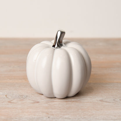 White Pumpkin with Silver stalks