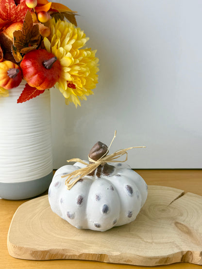 White textured pumpkins with rattan bow - Set of 2
