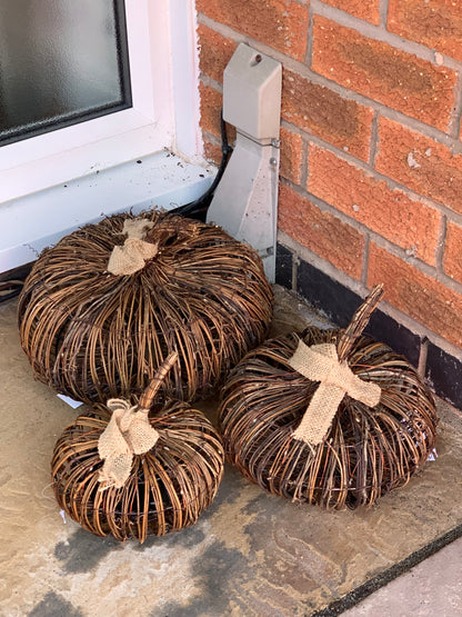 Brushwood Light Up Pumpkin (LAST ONE)