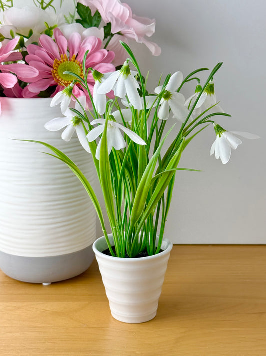 Snowdrops Plant pot