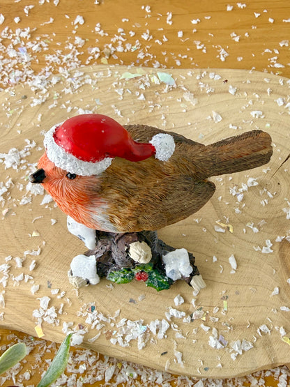 Robin sat on top of a Tree Branch