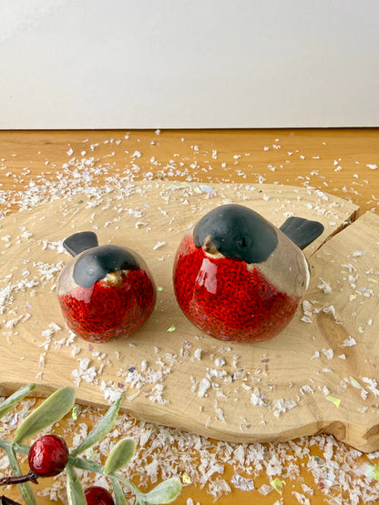 Pair of Robins with bright red chest