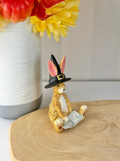 Jasper Rabbit Hocus Pocus